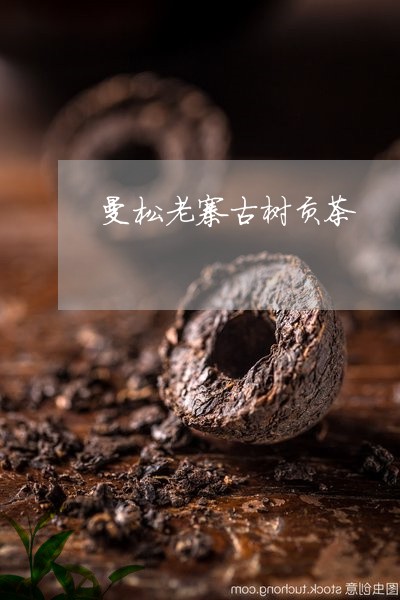 曼松老寨古树贡茶/2023032292927