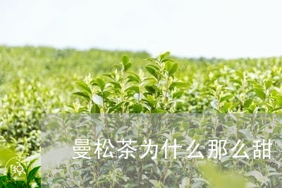 曼松茶为什么那么甜/2023041408492