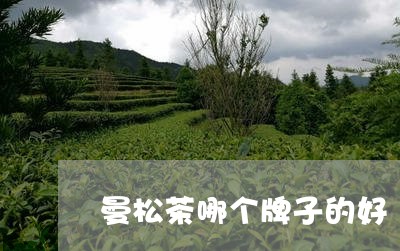 曼松茶哪个牌子的好/2023041473969