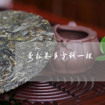 曼松茶多少钱一棵/2023041407181