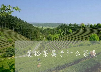 曼松茶属于什么茶类/2023041445153