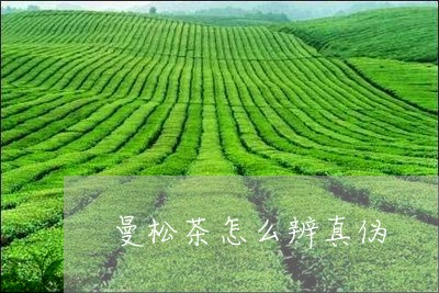 曼松茶怎么辨真伪/2023041572824