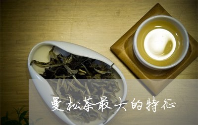 曼松茶最大的特征/2023032225048