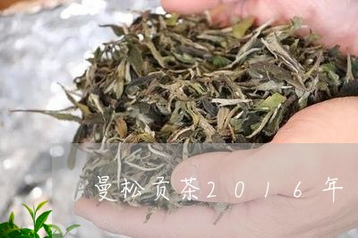 曼松贡茶2016年/2023041443249