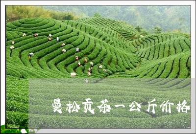 曼松贡茶一公斤价格/2023041525150