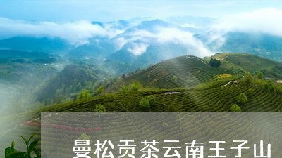 曼松贡茶云南王子山/2023031943504