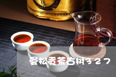 曼松贡茶古树327/2023031960493