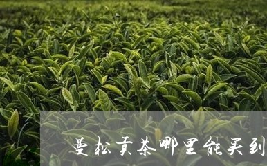 曼松贡茶哪里能买到/2023041492926