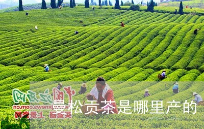 曼松贡茶是哪里产的/2023041560494