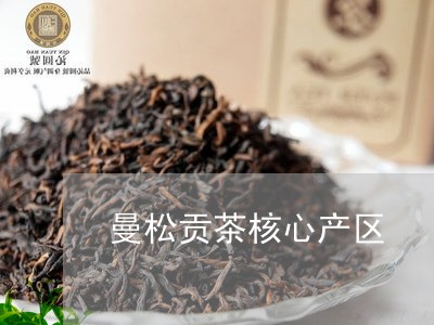 曼松贡茶核心产区/2023032215157