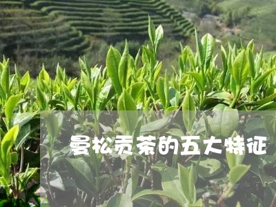 曼松贡茶的五大特征/2023041532727