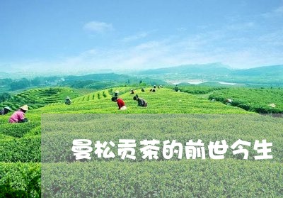 曼松贡茶的前世今生/2023041457381