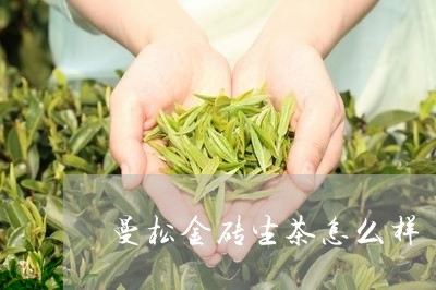 曼松金砖生茶怎么样/2023041463847