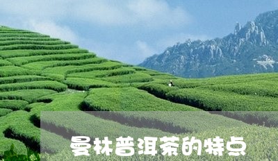 曼林普洱茶的特点/2023040151484