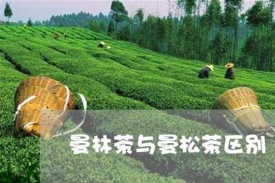 曼林茶与曼松茶区别/2023031804140