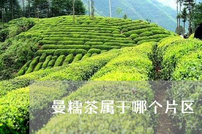 曼糯茶属于哪个片区/2023031997041