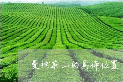 曼糯茶山的具体位置/2023032070494