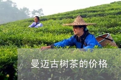 曼迈古树茶的价格/2023032623835