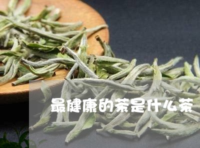 最健康的茶是什么茶/2023031973059