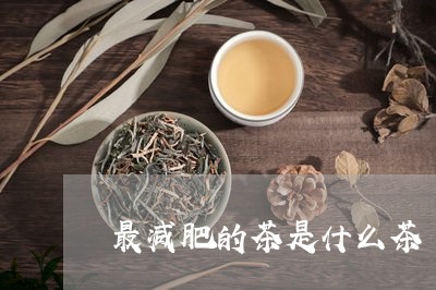 最减肥的茶是什么茶/2023041575937