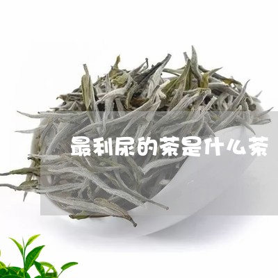 最利尿的茶是什么茶/2023031965060