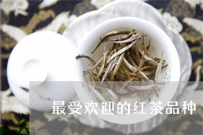 最受欢迎的红茶品种/2023032199471