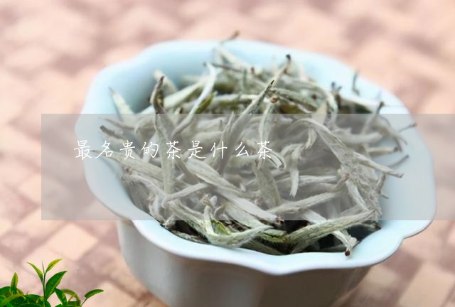 最名贵的茶是什么茶/2023032039582