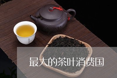 最大的茶叶消费国/2023032645069