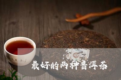 最好的两种普洱茶/2023033135068