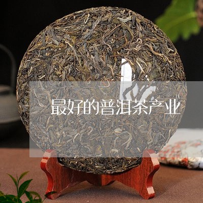 最好的普洱茶产业/2023041245036