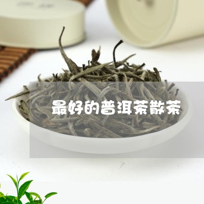 最好的普洱茶散茶/2023041119836