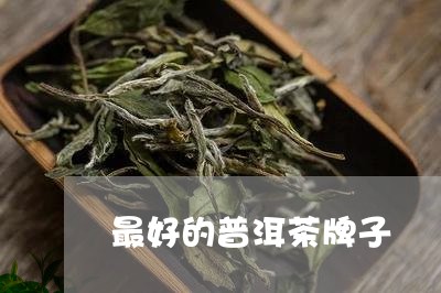 最好的普洱茶牌子/2023041200715