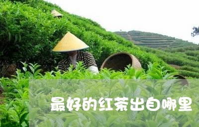 最好的红茶出自哪里/2023041484960