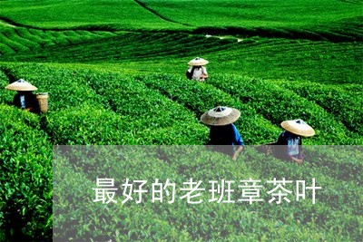 最好的老班章茶叶/2023032873047