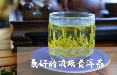 最好的顶级普洱茶/2023041062827