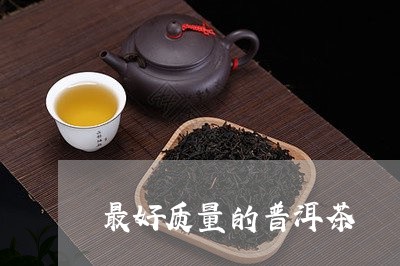 最好质量的普洱茶/2023041048381