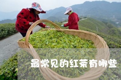 最常见的红茶有哪些/2023032038484