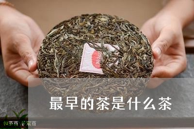 最早的茶是什么茶/2023032452735