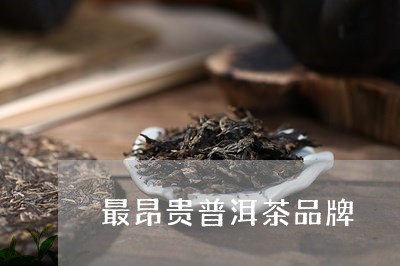 最昂贵普洱茶品牌/2023031627048