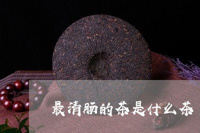 最清肠的茶是什么茶/2023041502504