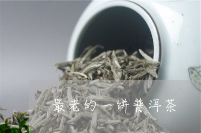 最老的一饼普洱茶/2023031663713