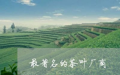 最著名的茶叶厂商/2023032593827