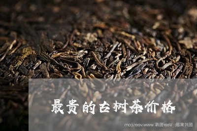 最贵的古树茶价格/2023032632935