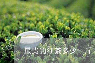 最贵的红茶多少一斤/2023041485940