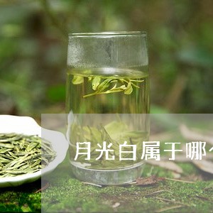 月光白属于哪个茶系/2023041649494