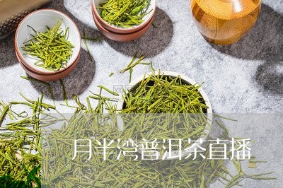 月半湾普洱茶直播/2023041169524