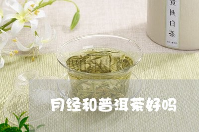 月经和普洱茶好吗/2023040951602