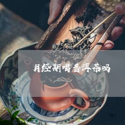 月经期喝普洱茶吗/2023041340372