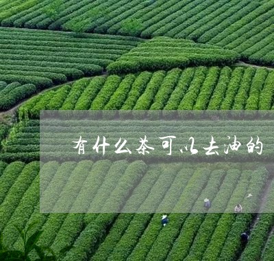 有什么茶可以去油的/2023032043917