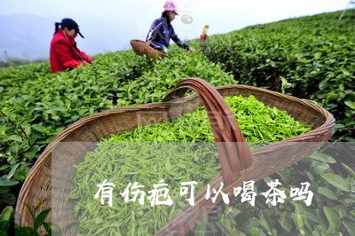 有伤疤可以喝茶吗/2023032548393